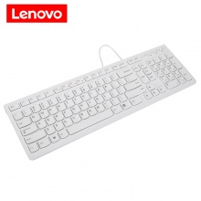 Lenovo/联想K5819有线键盘 白色