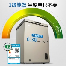 MeiLing/美菱 BC/BD-100DT冷冻冷藏卧式冷柜
