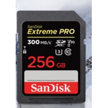 闪迪（SanDisk）256GB SD卡