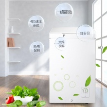 Ronshen/容声BD/BC-100MS立式冷冻冷藏单门冷柜