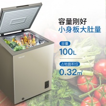 MeiLing/美菱 BC/BD-100DT冷冻冷藏卧式冷柜