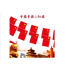 串旗国庆用品 红旗国旗串8号6米20面