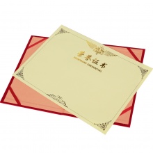 得力50703绒面荣誉证书(红)(10个/箱)