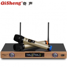Qisheng/奇声 QM-630 U段话筒 无线一拖二专业麦克风