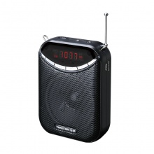 Takstar/得胜 E190M 小蜂蜜扩音器