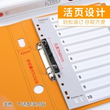 齐心PP轻便彩色活页两孔夹打孔文件夹A4活页夹双面色2孔资料夹学生试卷夹办公文件整理夹