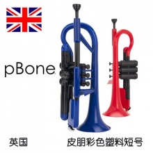 英国新款pCornet皮朋塑料小号铜管乐器降B调短号初学考级演奏