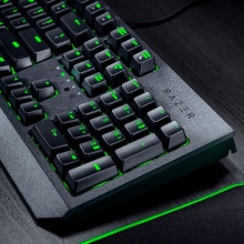 Razer雷蛇黑寡妇蜘蛛标准键盘