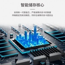 BLKE 摄像机tf卡64g家用云台监控摄像头内存卡32g高速Micro sd卡存储卡 32G TF卡