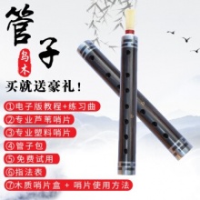 管艺 管子乐器 乌木管子初学者成人筚篥催泪管专业演奏款调门齐全 镶铜箍D调【全套配件】+塑料哨片
