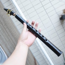 小萨 简易萨克斯乐器8孔11孔迷你萨克斯