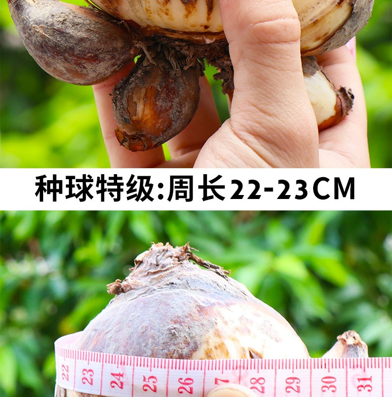 0fea7857c1b1646f.jpg