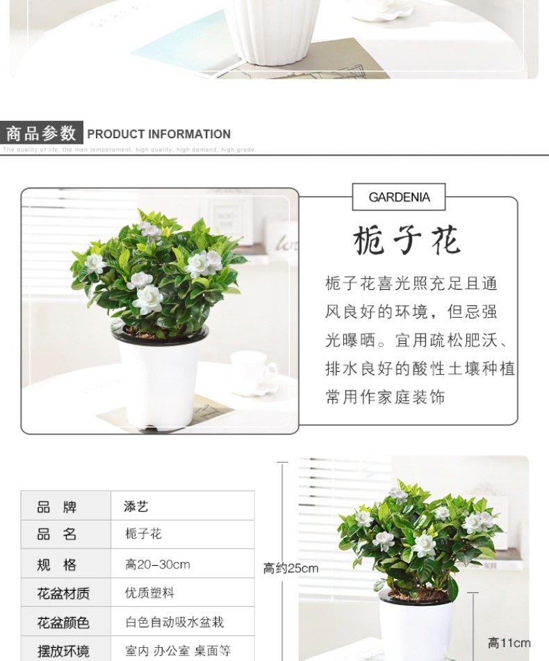 9eace34cd9e21590.jpg