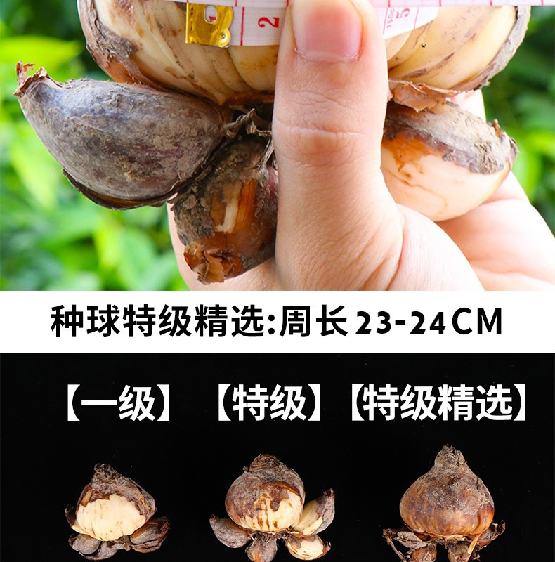 f061df06cb1786b6.jpg
