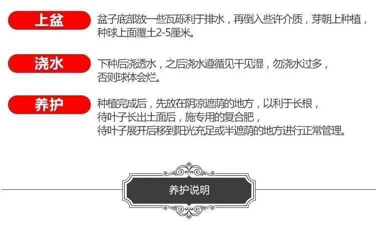 f26d98b00a6718e8.jpg