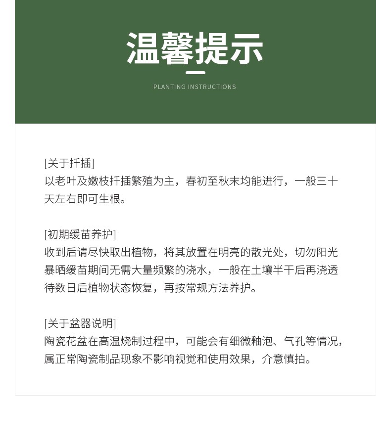 玉树_18.jpg