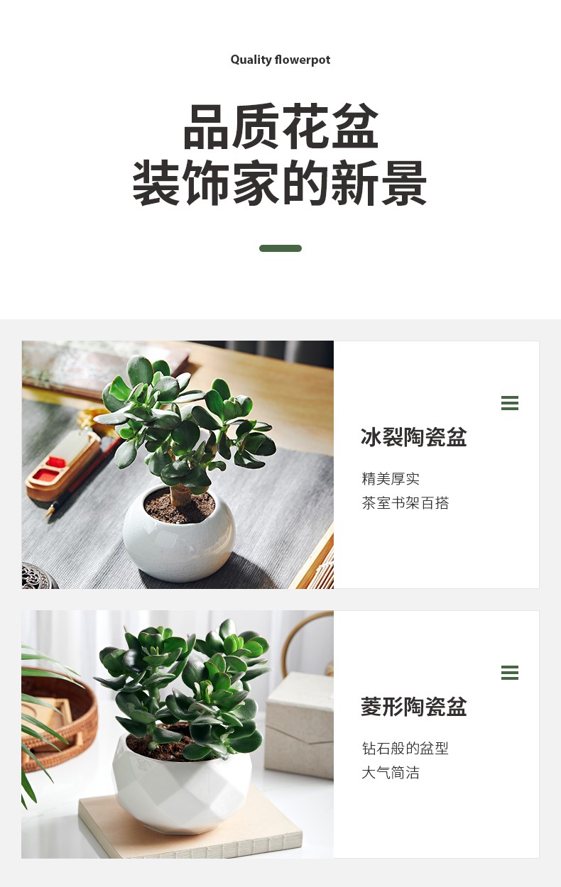 玉树_13.jpg