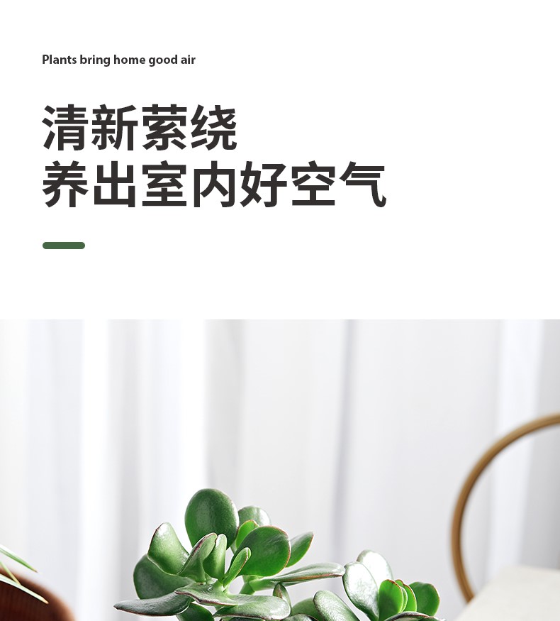 玉树_09.jpg