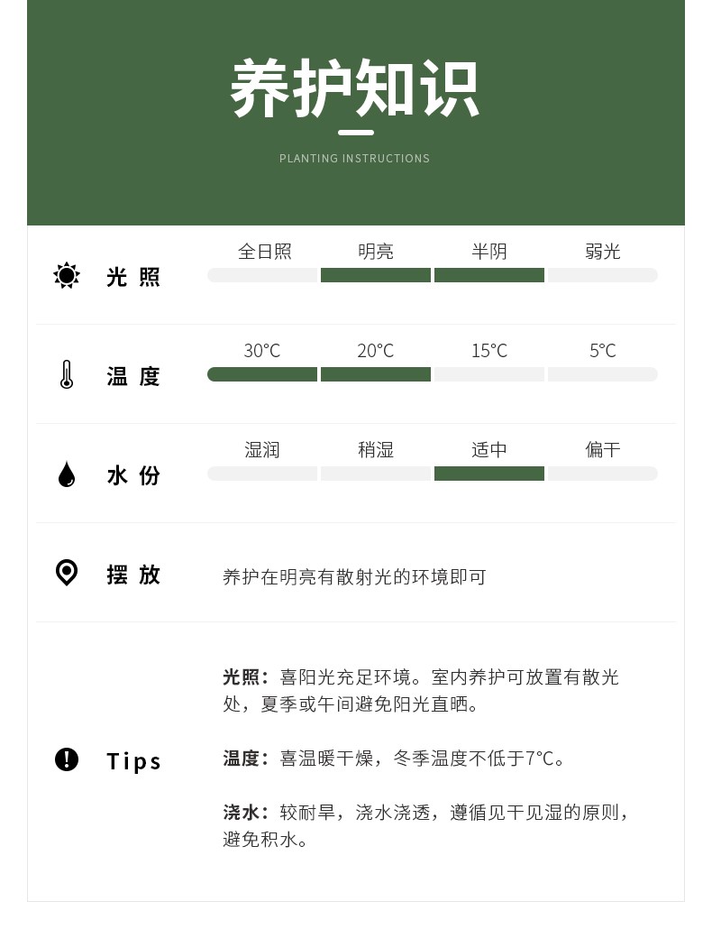 玉树_17.jpg