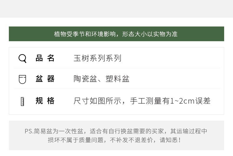 玉树_16.jpg