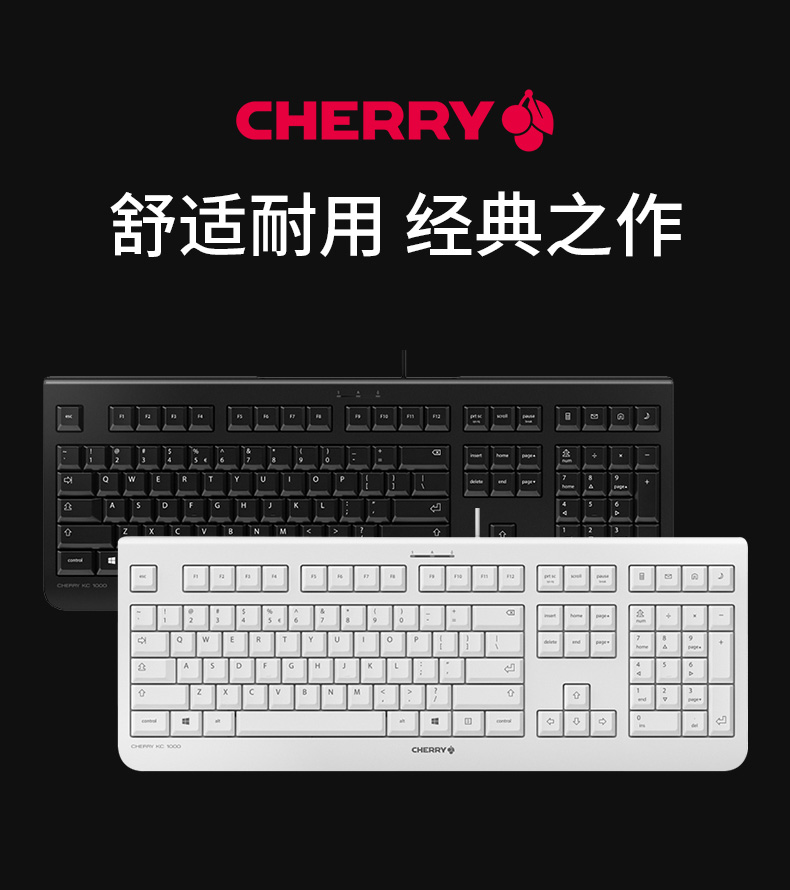 8a49dcc7ed088c94.jpg